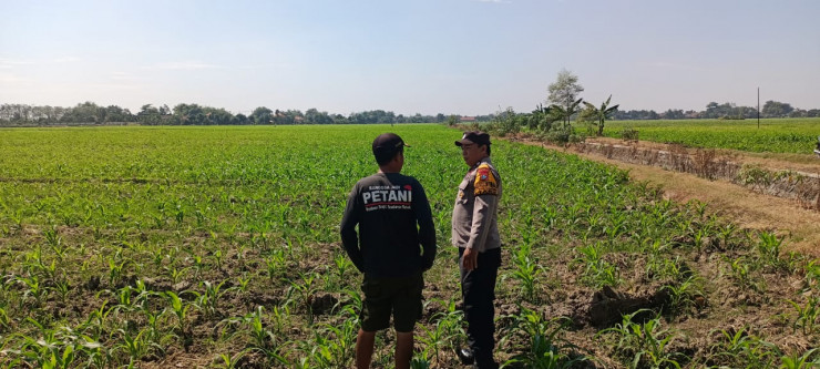 Upaya Polsek Tarik Dorong Program Ketahanan Pangan, Bhabinkamtibmas Dampingi Petani