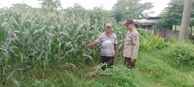 Polsek Tarik Masifkan Patroli Sambang Desa, untuk Kondusifitas Kamtibmas dan Kelangsungan Ketahanan Pangan