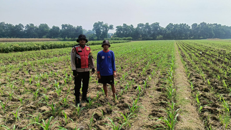 Polisi Balongbendo Dampingi Petani Optimalkan Pekarangan untuk Ketahanan Pangan