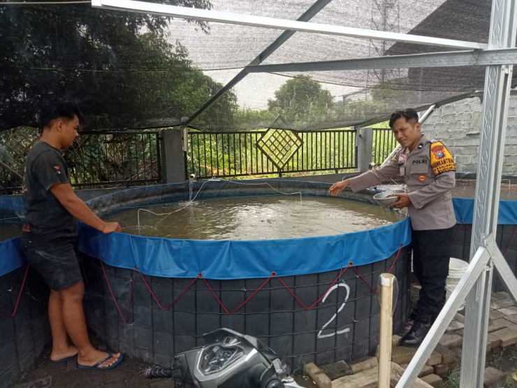 Bhabinkamtibmas Banjarsari Polsek Buduran Dukung Peternak Lele, Dorong Ketahanan Pangan