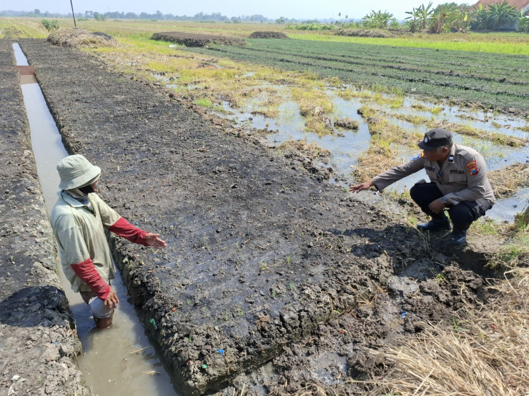 Pantau Lahan Sayuran, Polsek Tulangan Dukung Ketahanan Pangan Warga