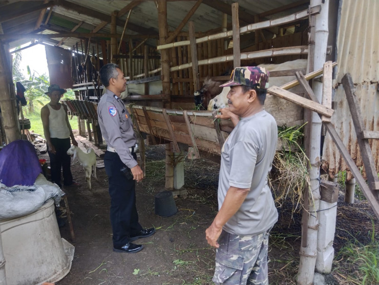Polsek Buduran Tinjau Perkembangan Peternakan Kambing Desa Sidokerto