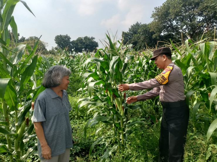 Warga Sepanjang Dukung Ketahanan Pangan Polresta Sidoarjo, Polisi Beri Apresiasi dan Edukasi