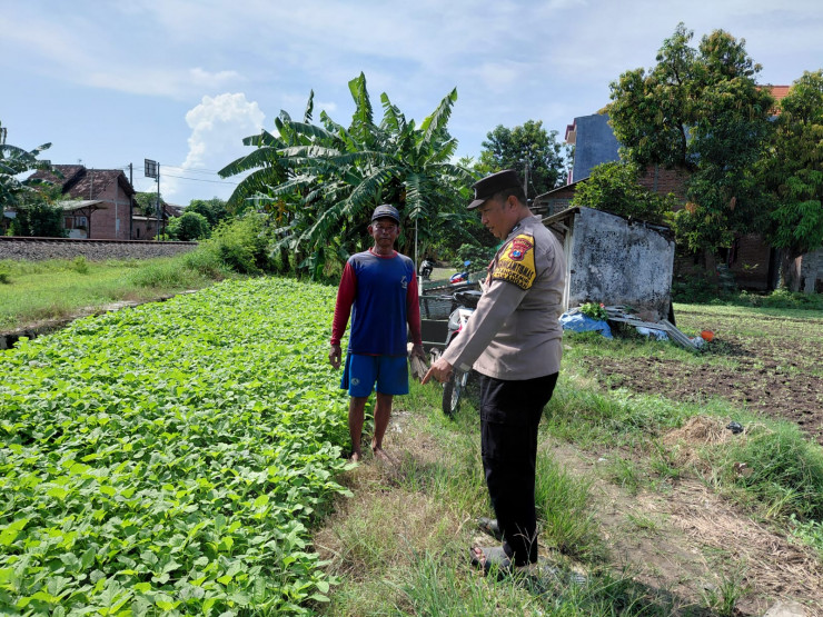 Motivasi Ketahanan Pangan, Polisi Cek Perkembangan Lahan Sayur di Desa Pangkemiri